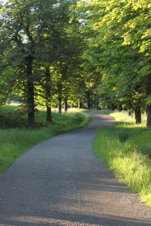 Meinen Weg gehen