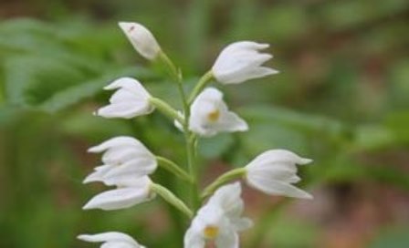 Schöne Gedanken-Glücksgefühle