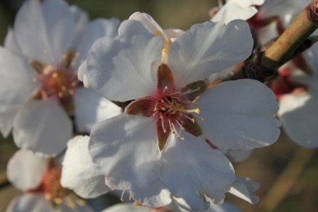 Fit in den Frühling