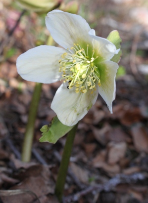 In der Stille liegt…