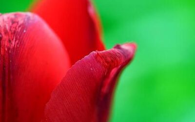 Leben ist Begeisterung