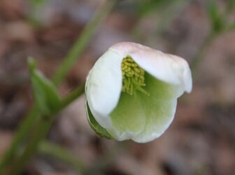 Frische Luft, frisches Glück
