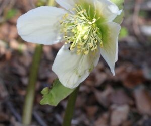 In der Stille liegt…