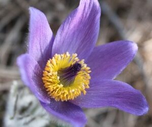 Achte gut auf diesen Tag