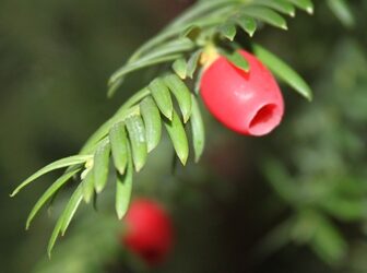 Die Schuhe des anderen