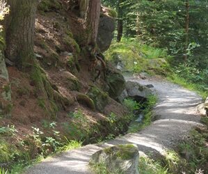 Wenn du tust, was du immer schon getan hast…