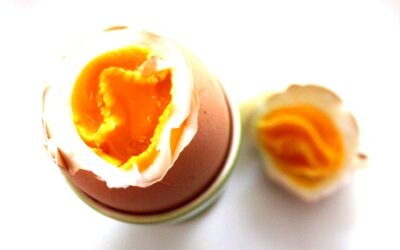 Nonverbale Kommunikation